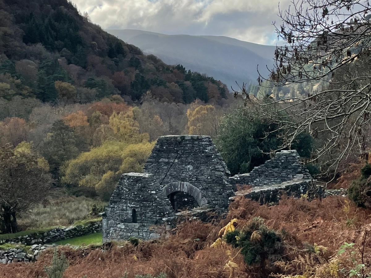 Finding Home in&nbsp;Ireland